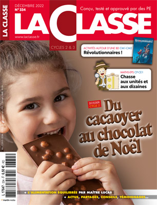 N°334 - Du cacaoyer aux chocolats de Noël
