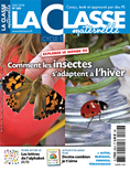 n°269 - Comment les insectes s'adaptent a l'hiver
